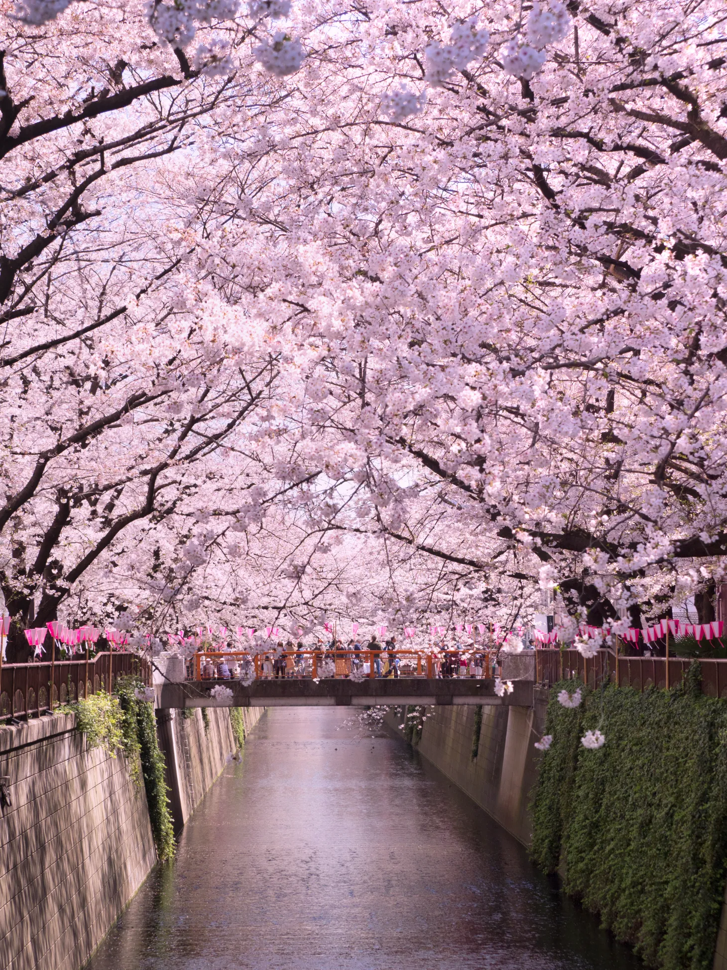4月の休診・診療時間変更のお知らせ